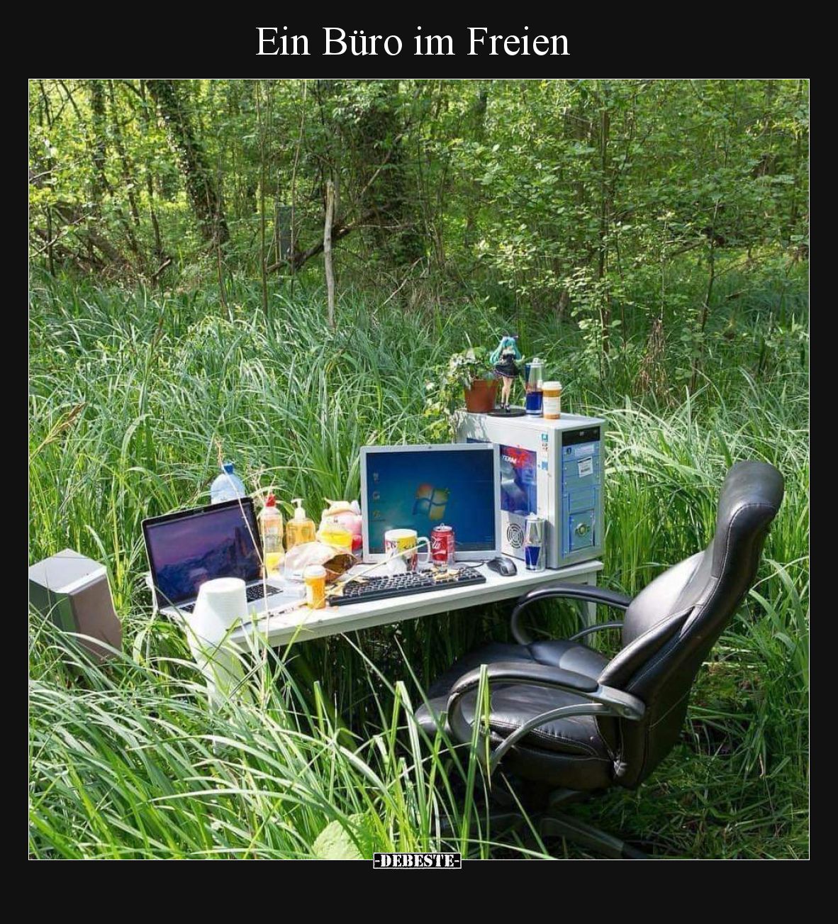Ein Büro im Freien.. - Lustige Bilder | DEBESTE.de