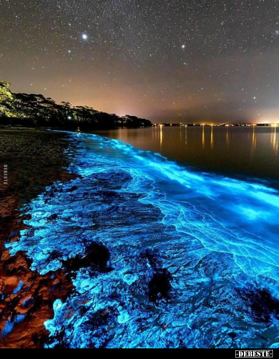  - Lustige Bilder | DEBESTE.de