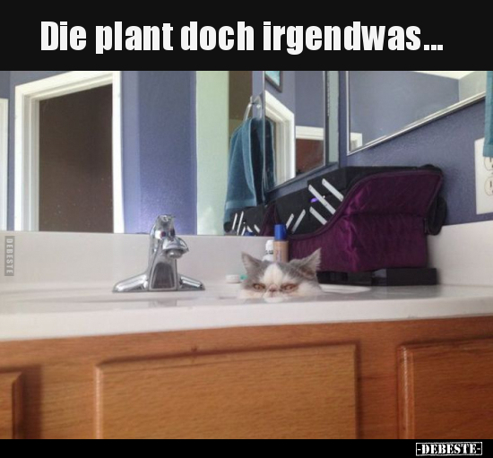 Die plant doch irgendwas...