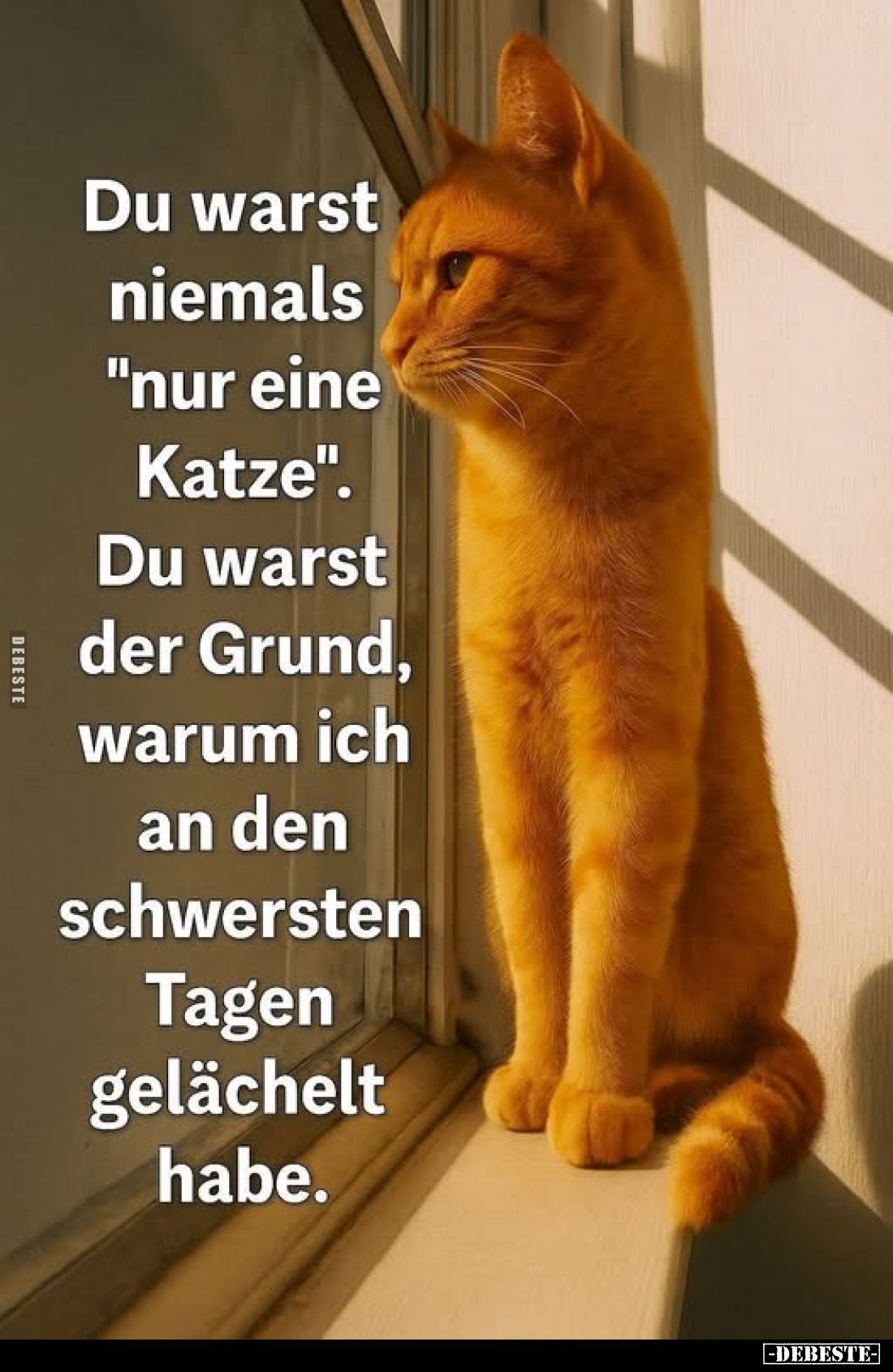 Du warst niemals "nur eine Katze". Du warst der Grund, warum ich an den schwersten Tagen gelächelt habe.
