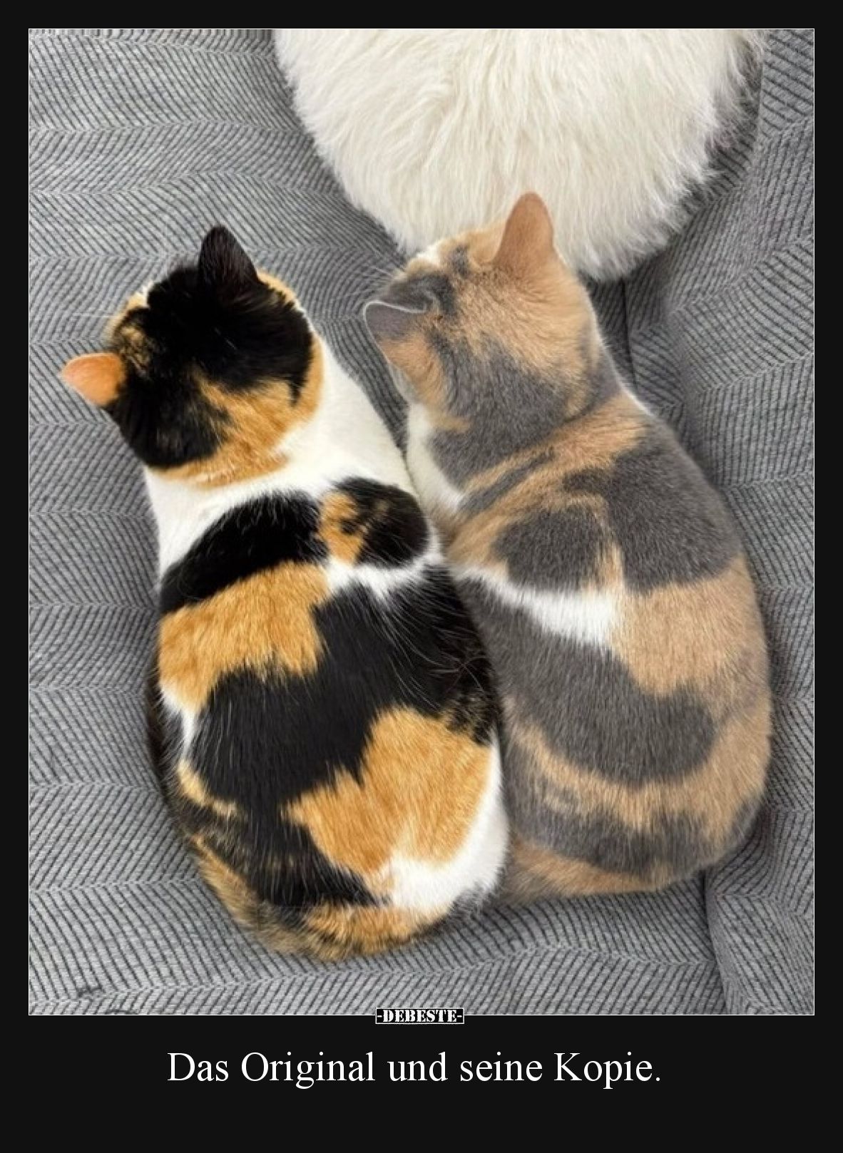 Das Original und seine Kopie