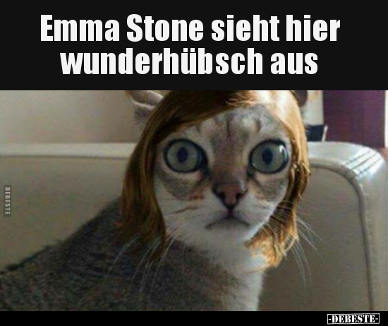 Emma Stone sieht hier wunderhübsch aus..