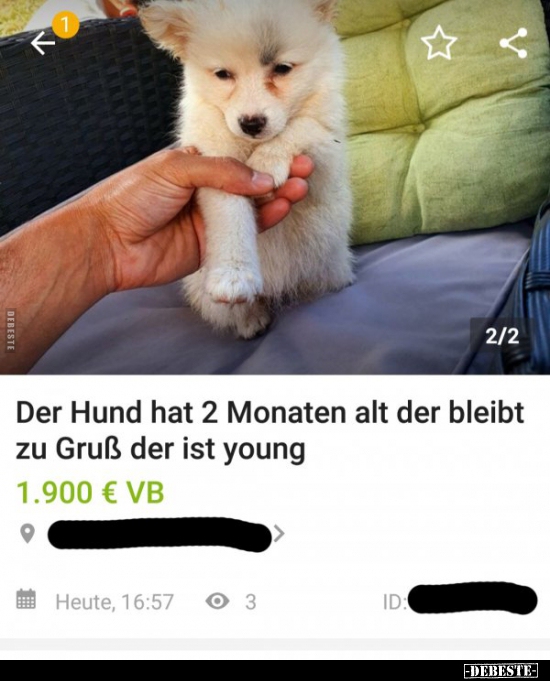 Der Hund hat 2 Monaten alt der bleibt zu Gruß der ist.. - Lustige Bilder | DEBESTE.de