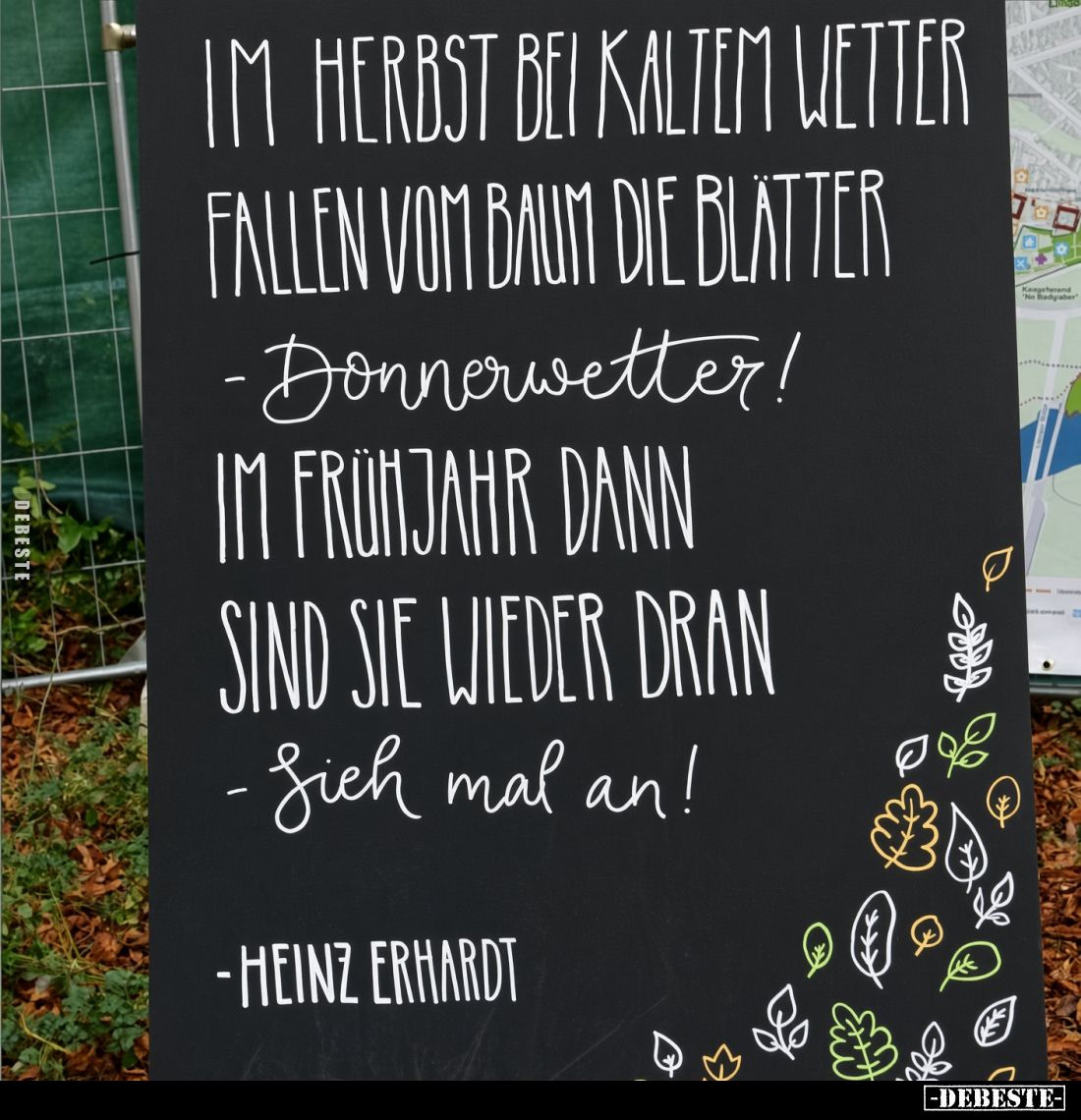 Im Herbst bei
kaltem Wetter
fallen vom Baum
die Blätter
- Donnerwetter!
Im Frühjahr dann,
sind sie wieder dran -
sieh ...