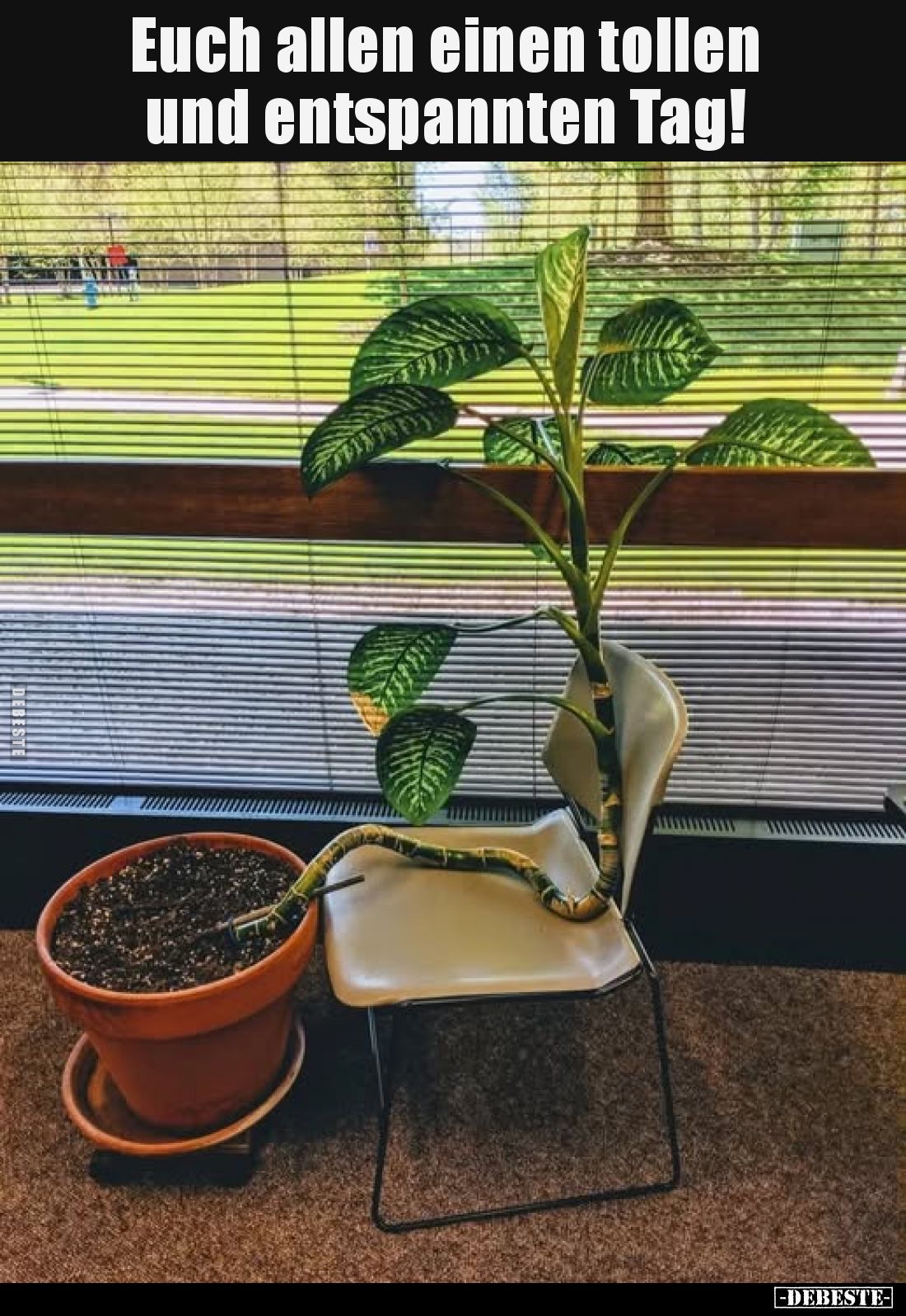 Euch allen einen tollen und entspannten Tag!