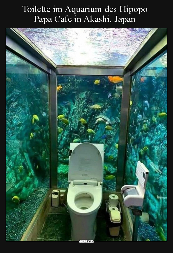 Toilette im Aquarium des Hipopo Papa Cafe in Akashi.. - Lustige Bilder | DEBESTE.de
