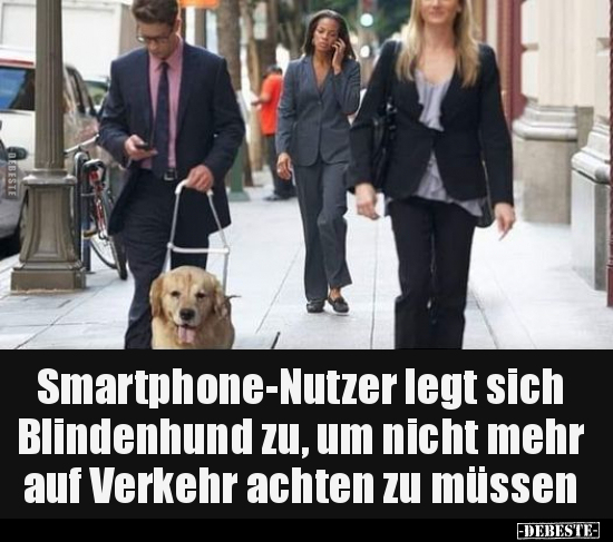 Smartphone-Nutzer legt sich Blindenhund zu, um nicht mehr.. - Lustige Bilder | DEBESTE.de