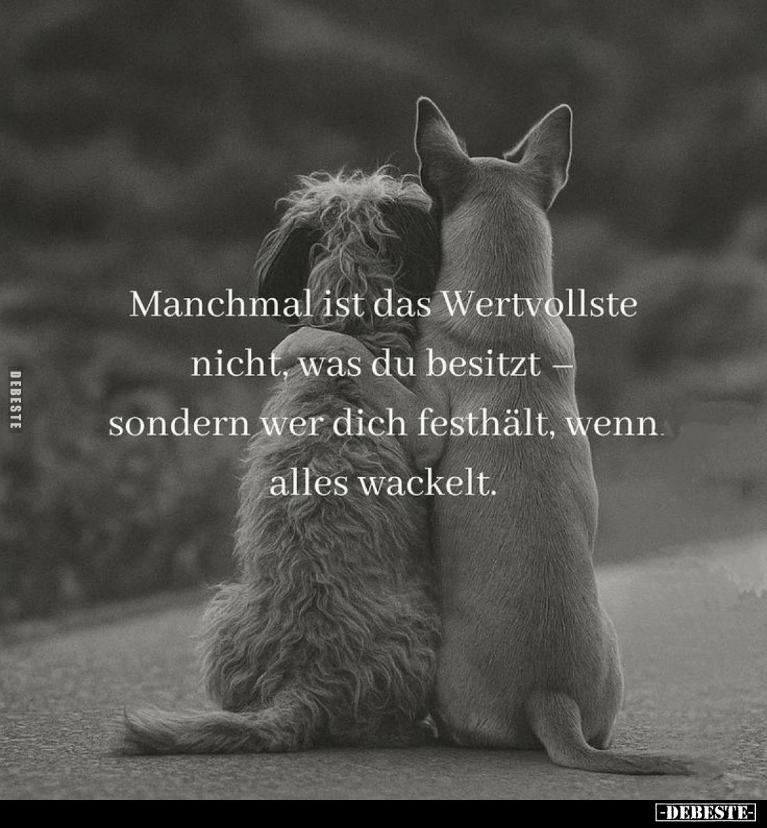 Manchmal ist das Wertvollste nicht, was du besitzt-sondern wer dich festhält, wenn alles wackelt.