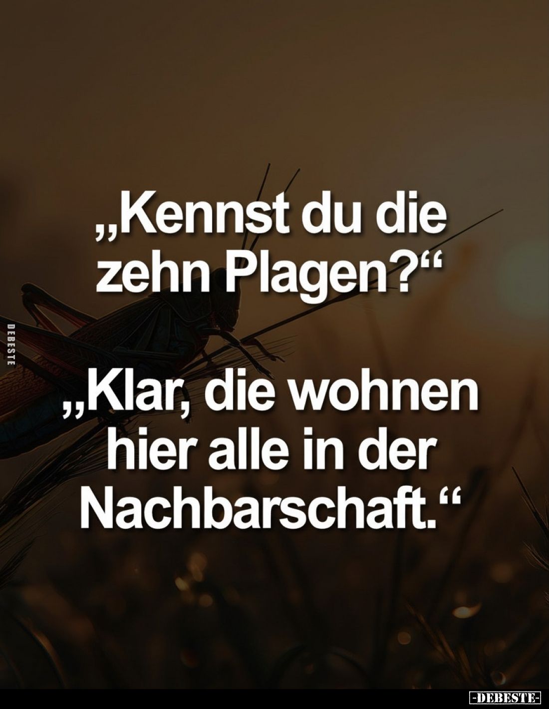 "Kennst du die zehn Plagen?" "Klar, die wohnen hier alle in.." - Lustige Bilder | DEBESTE.de