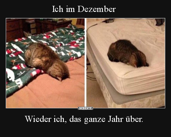 Ich im Dezember.
Wieder ich, das ganze Jahr über.