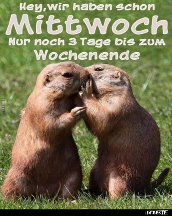 Hey, wir haben schon Mittwoch.. - Lustige Bilder | DEBESTE.de