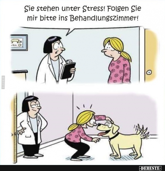 Sie stehen unter Stress! Folgen Sie mir bitte ins Behandlungszimmer! - Lustige Bilder | DEBESTE.de