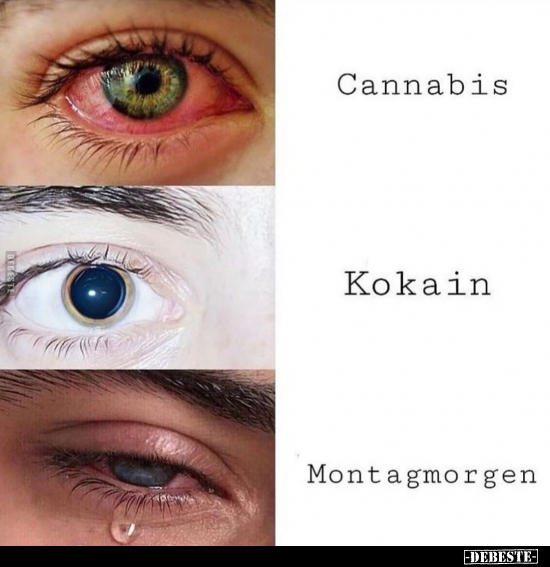 Cannabis / Kokain / Montagmorgen.. - Lustige Bilder | DEBESTE.de