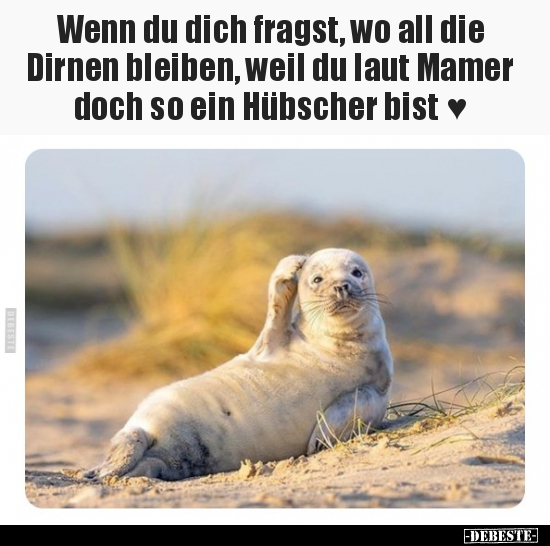 Wenn du dich fragst, wo all die Dirnen bleiben.. - Lustige Bilder | DEBESTE.de