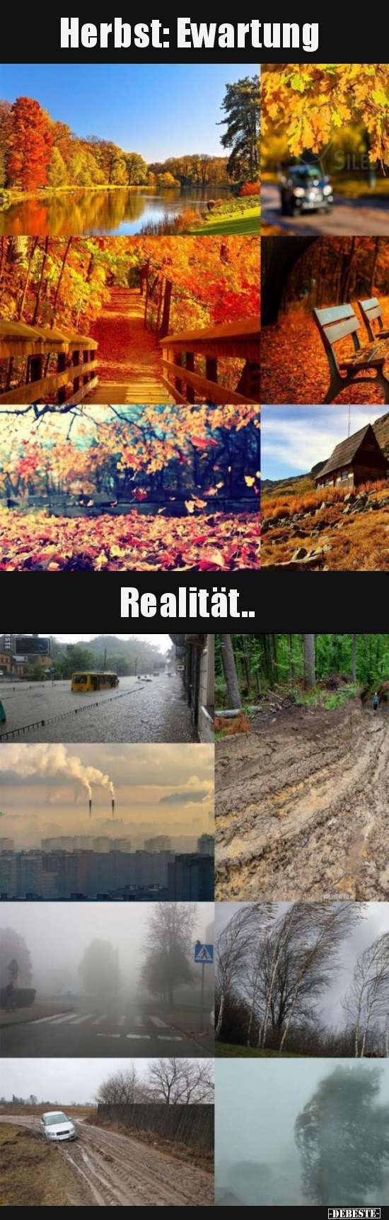 Herbst: Ewartung vs. Realität.. - Lustige Bilder | DEBESTE.de