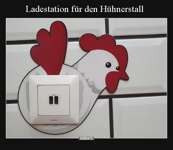 Ladestation für den Hühnerstall.. - Lustige Bilder | DEBESTE.de