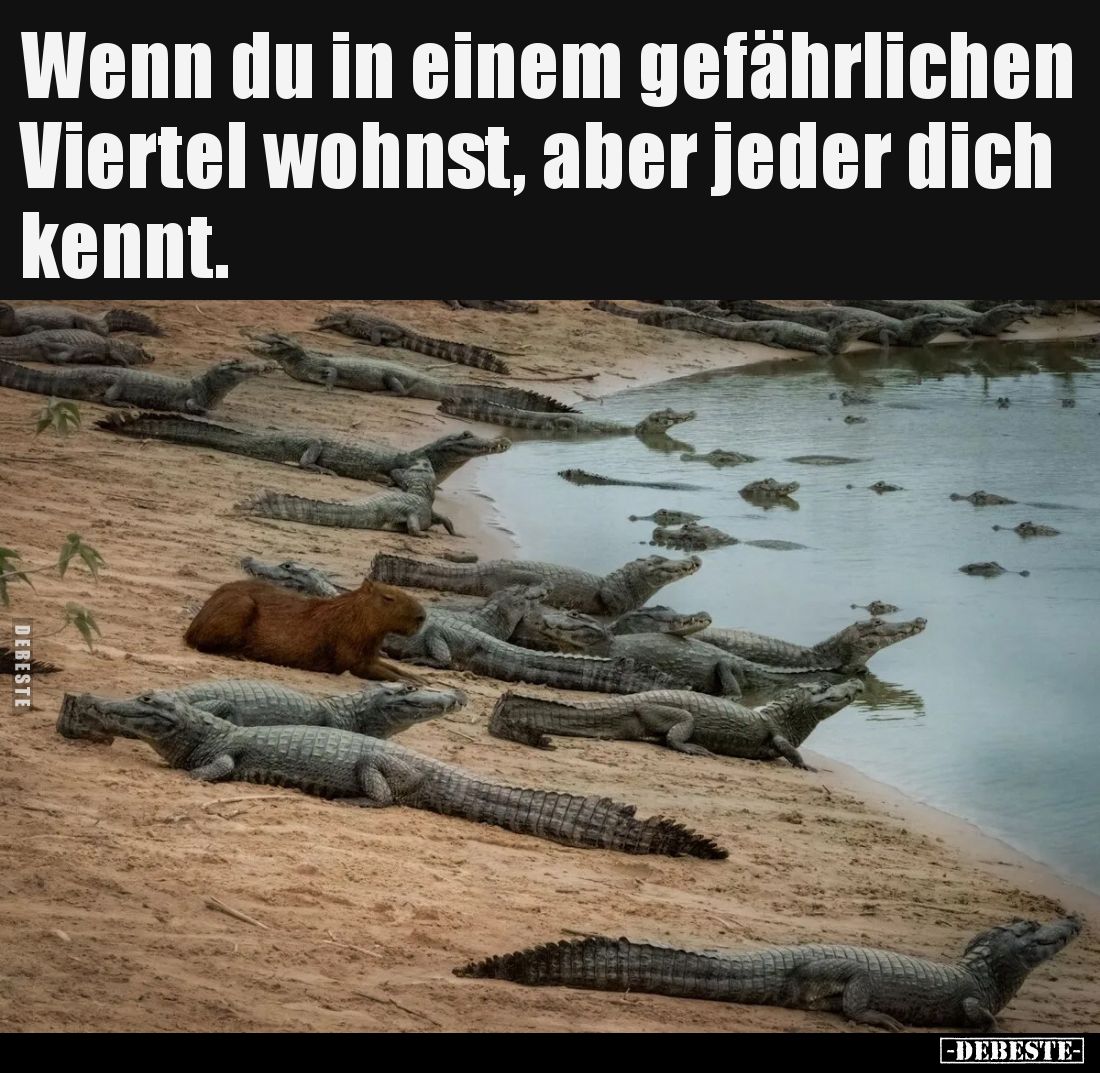 Wenn du in einem gefährlichen Viertel wohnst,
aber jeder dich kennt.