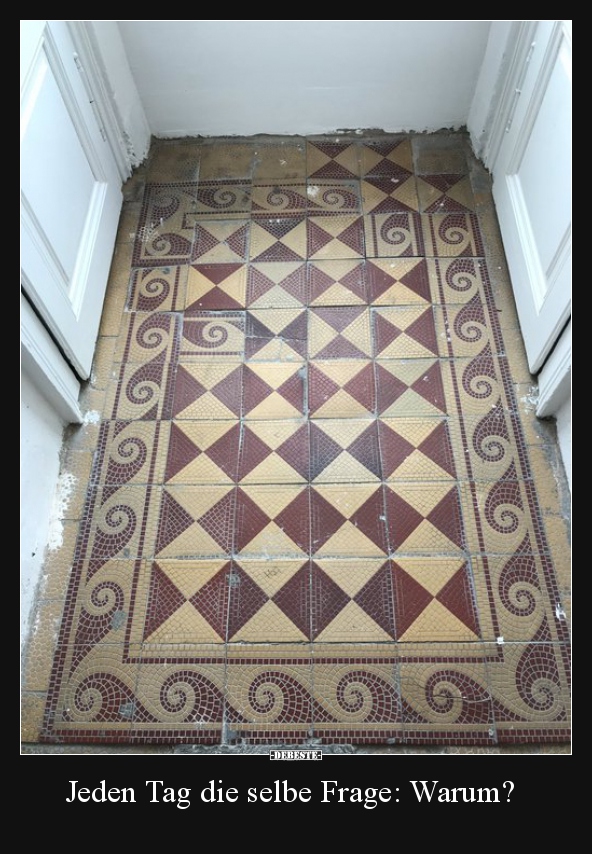 Jeden Tag die selbe Frage: Warum?..