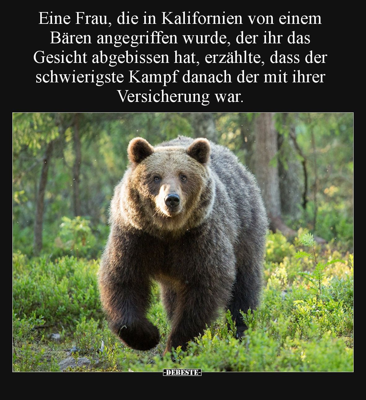 Eine Frau, die in Kalifornien von einem Bären angegriffen.. - Lustige Bilder | DEBESTE.de