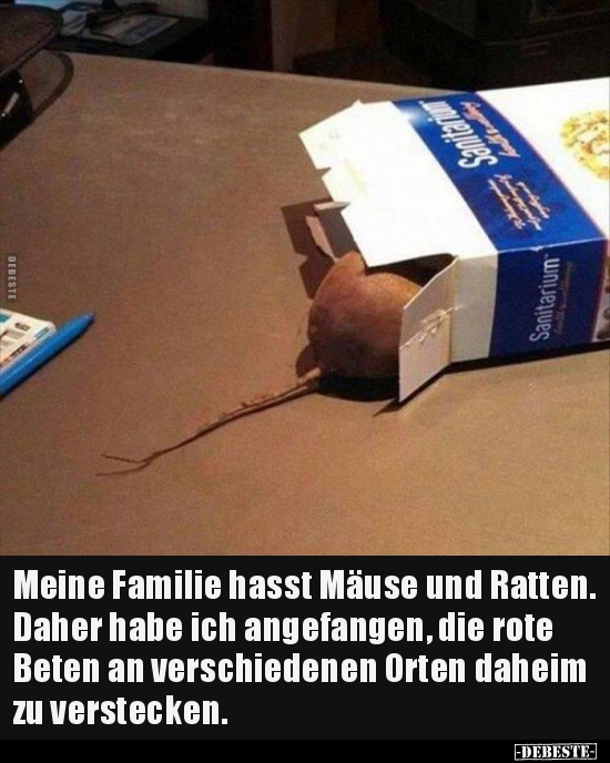 Meine Familie hasst Mäuse und Ratten... - Lustige Bilder | DEBESTE.de