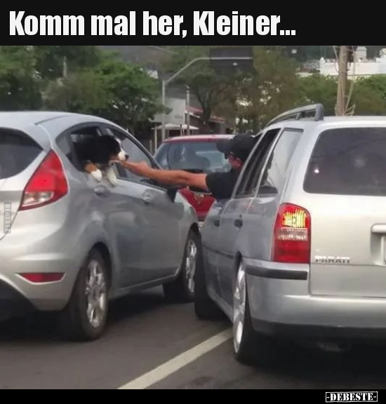 Komm mal her, Kleiner... - Lustige Bilder | DEBESTE.de