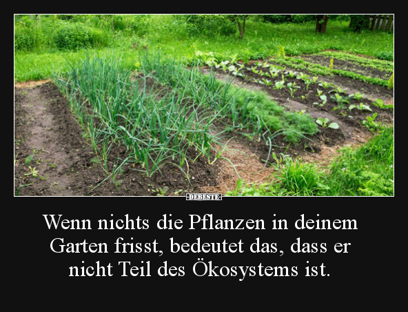 Wenn nichts die Pflanzen in deinem Garten frisst.. - Lustige Bilder | DEBESTE.de