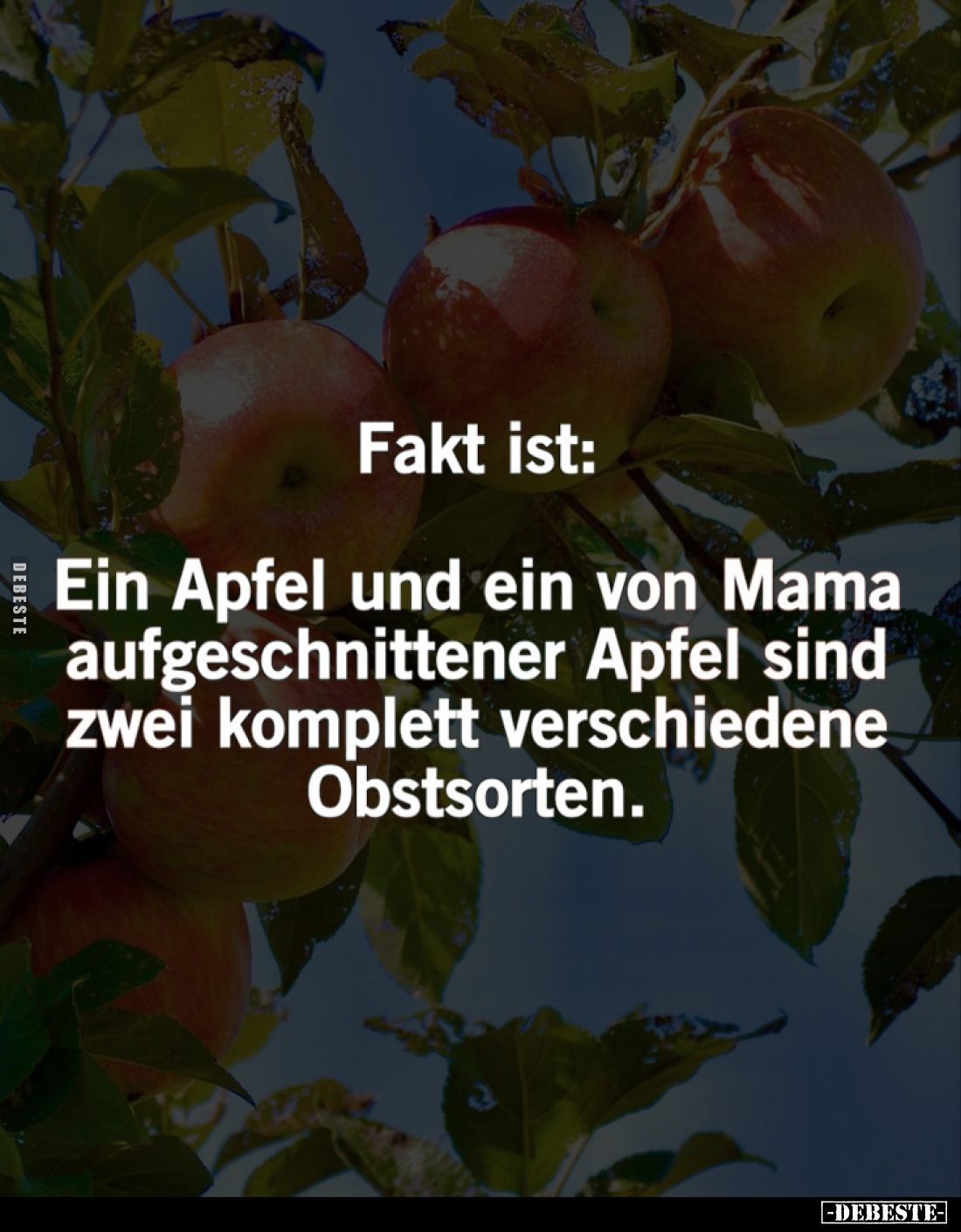 Fakt ist:
Ein Apfel und ein von Mama aufgeschnittener Apfel sind zwei komplett verschiedene Obstsorten.