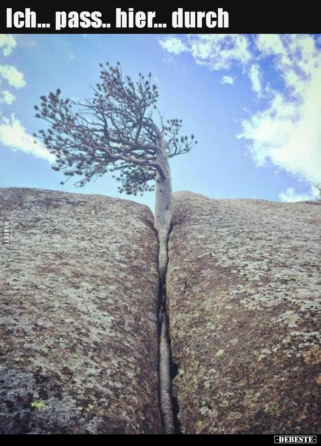 Ich... pass.. hier... durch..