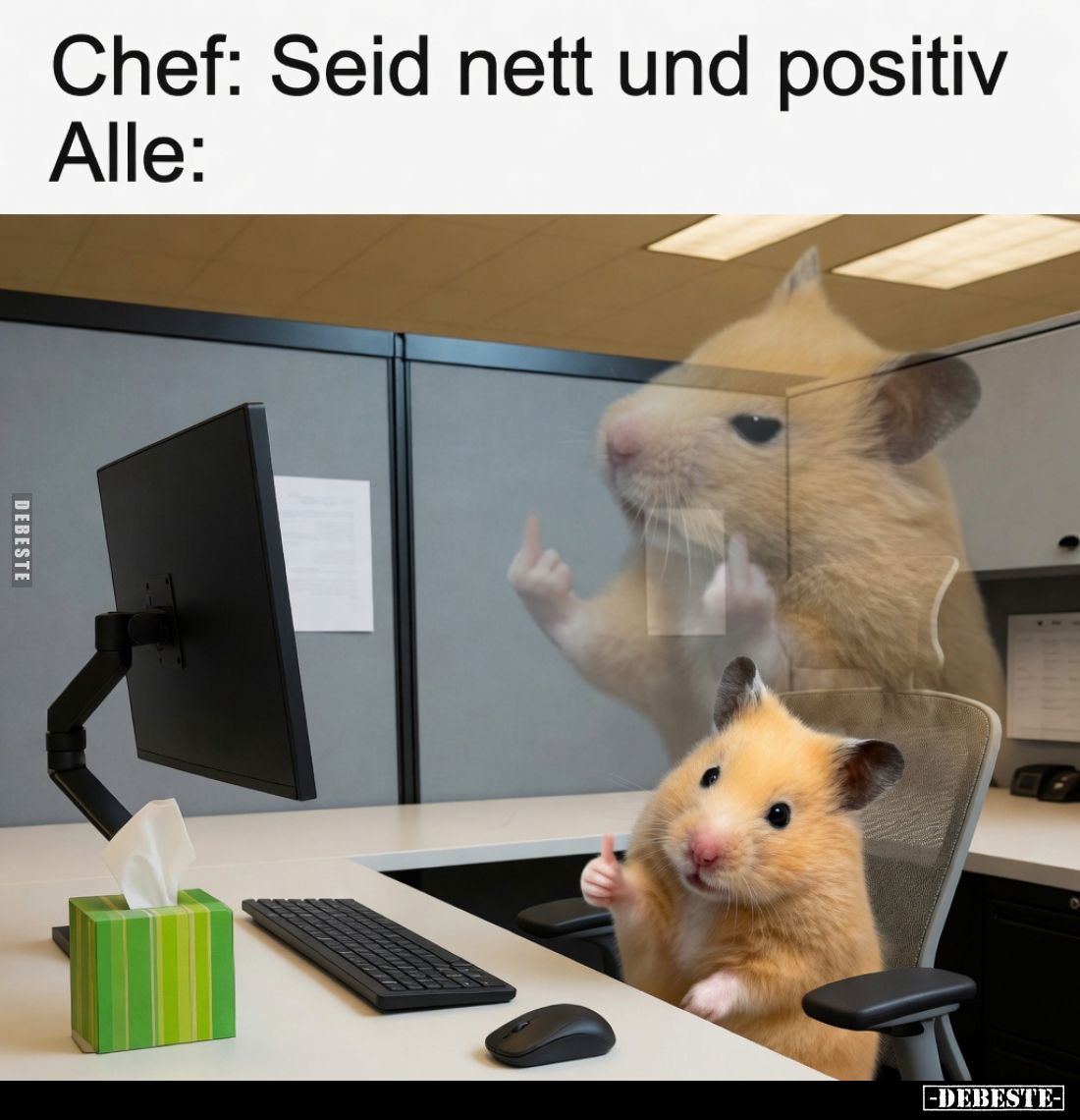 Chef: Seid nett und positiv
Alle: