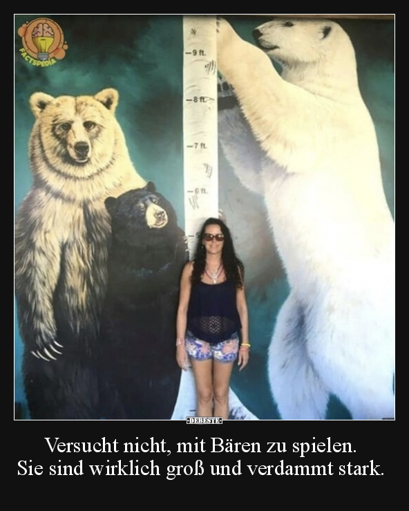 Versucht nicht, mit Bären zu spielen. Sie sind wirklich.. - Lustige Bilder | DEBESTE.de