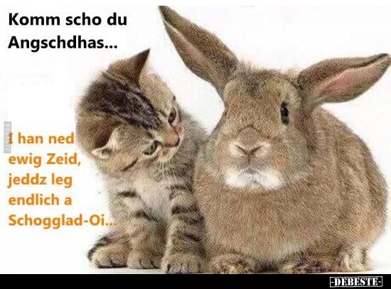 Komm scho du Angschdhas...
