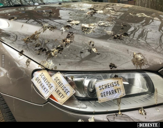 Schei*e geparkt!..