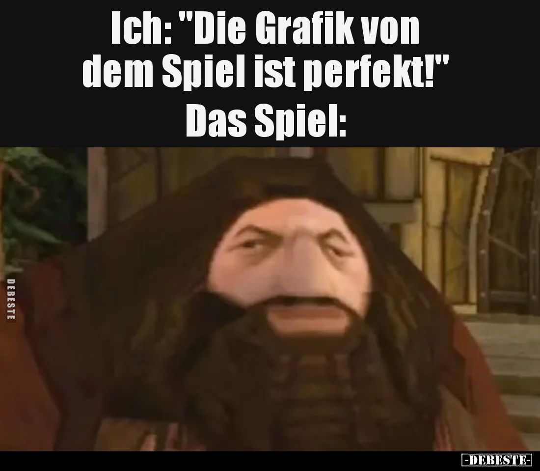 Ich: "Die Grafik von dem Spiel ist perfekt!" Das Spiel: