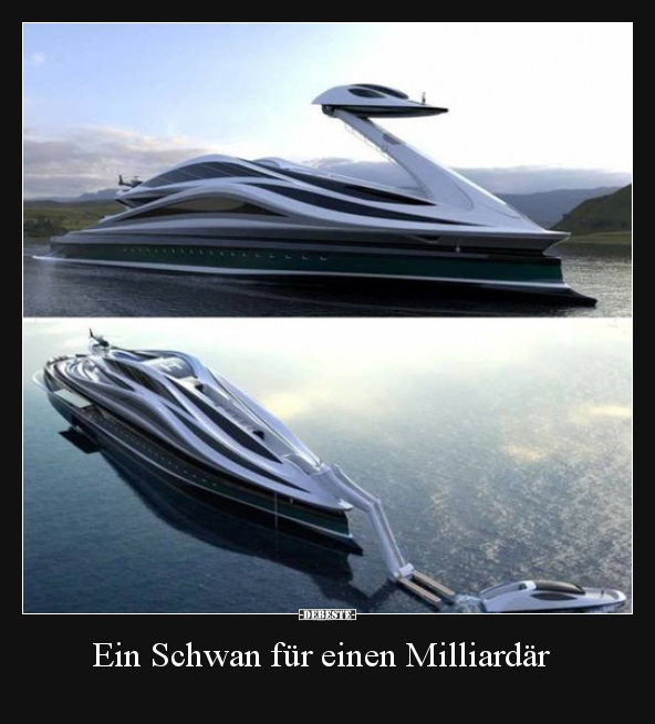 Ein Schwan für einen Milliardär..