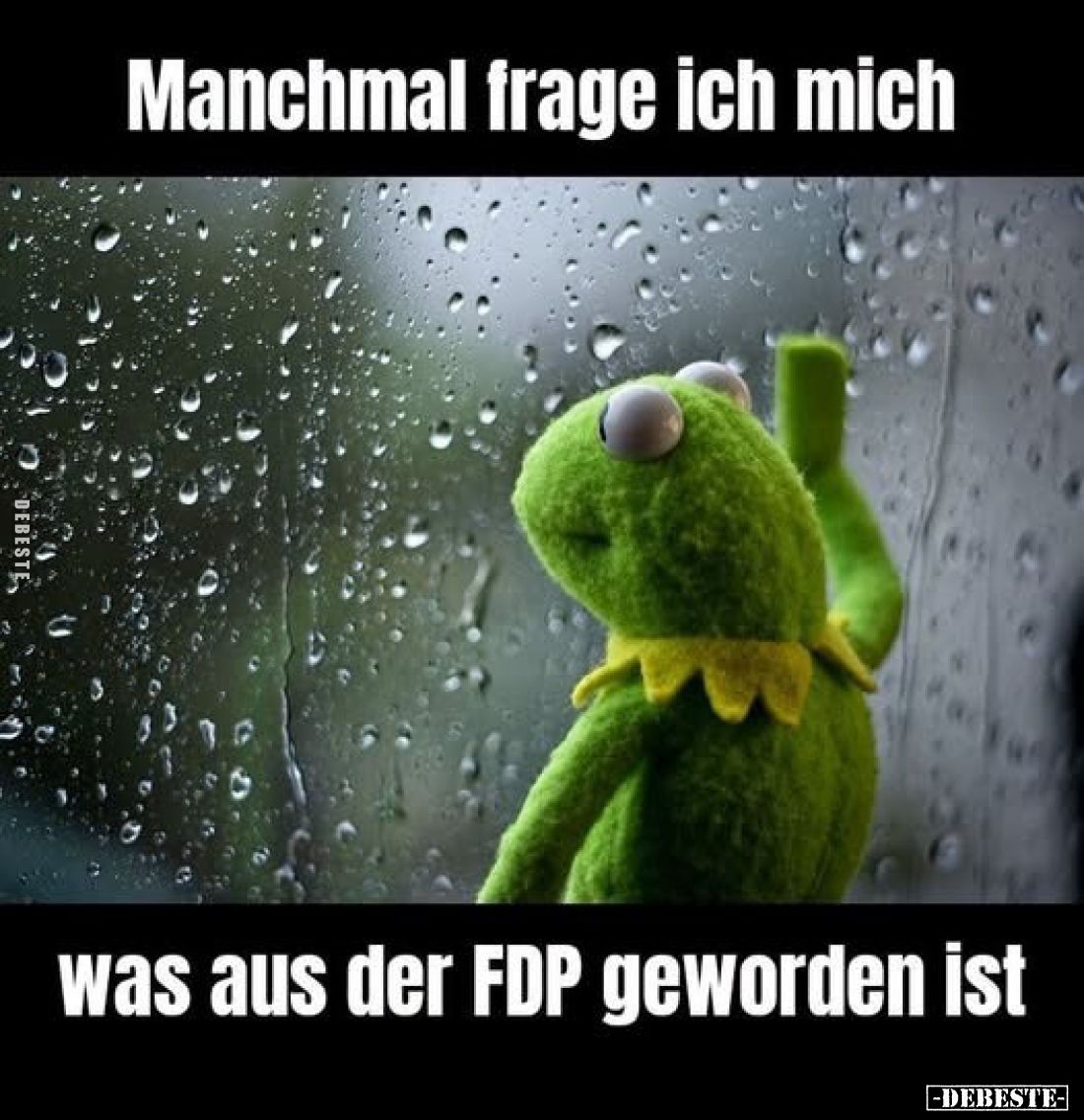Manchmal frage ich mich

was aus der FDP geworden ist