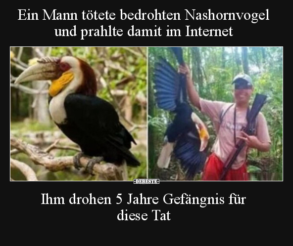 Ein Mann tötete bedrohten Nashornvogel und prahlte damit im.. - Lustige Bilder | DEBESTE.de