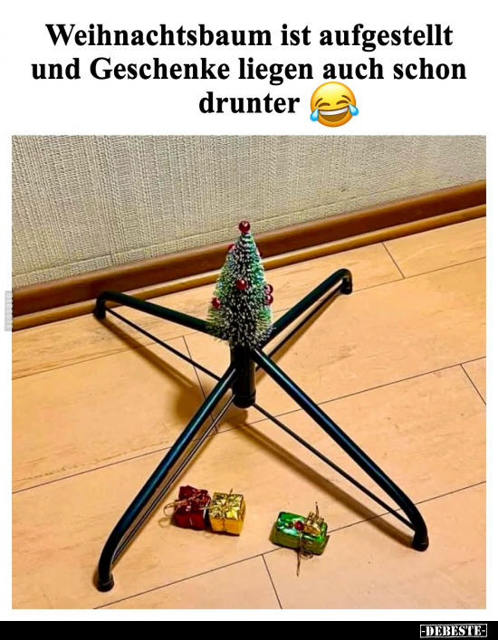 Weihnachtsbaum ist aufgestellt.. - Lustige Bilder | DEBESTE.de