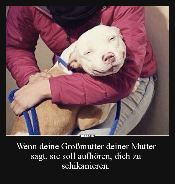 Wenn deine Großmutter deiner Mutter sagt, sie soll.. - Lustige Bilder | DEBESTE.de