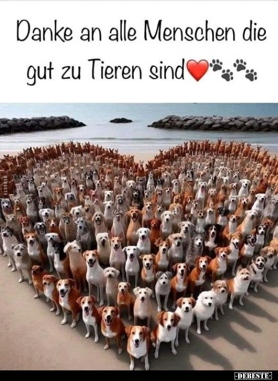 Danke an alle Menschen die gut zu Tieren sind.. - Lustige Bilder | DEBESTE.de