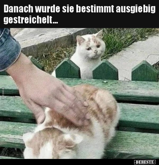 Danach wurde sie bestimmt ausgiebig gestreichelt... - Lustige Bilder | DEBESTE.de