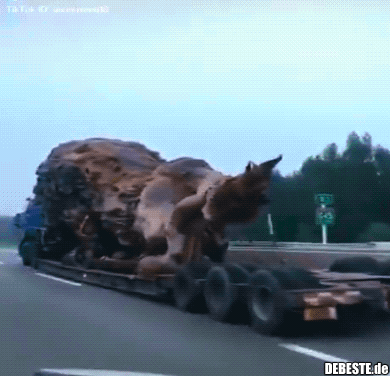  - Lustige Bilder | DEBESTE.de