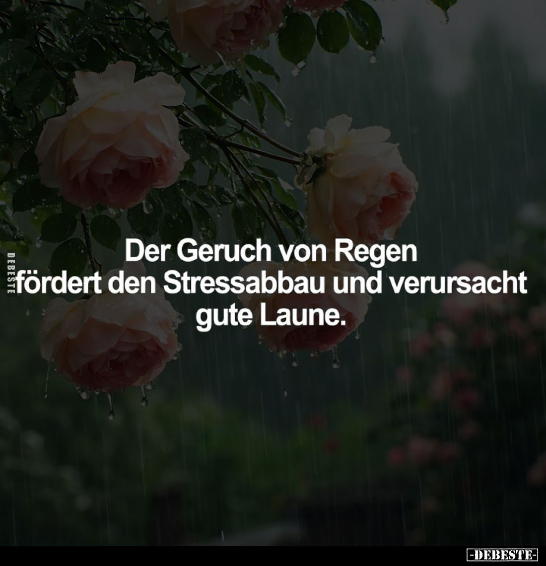 Der Geruch von Regen fördert den Stressabbau und verursacht gute Laune.