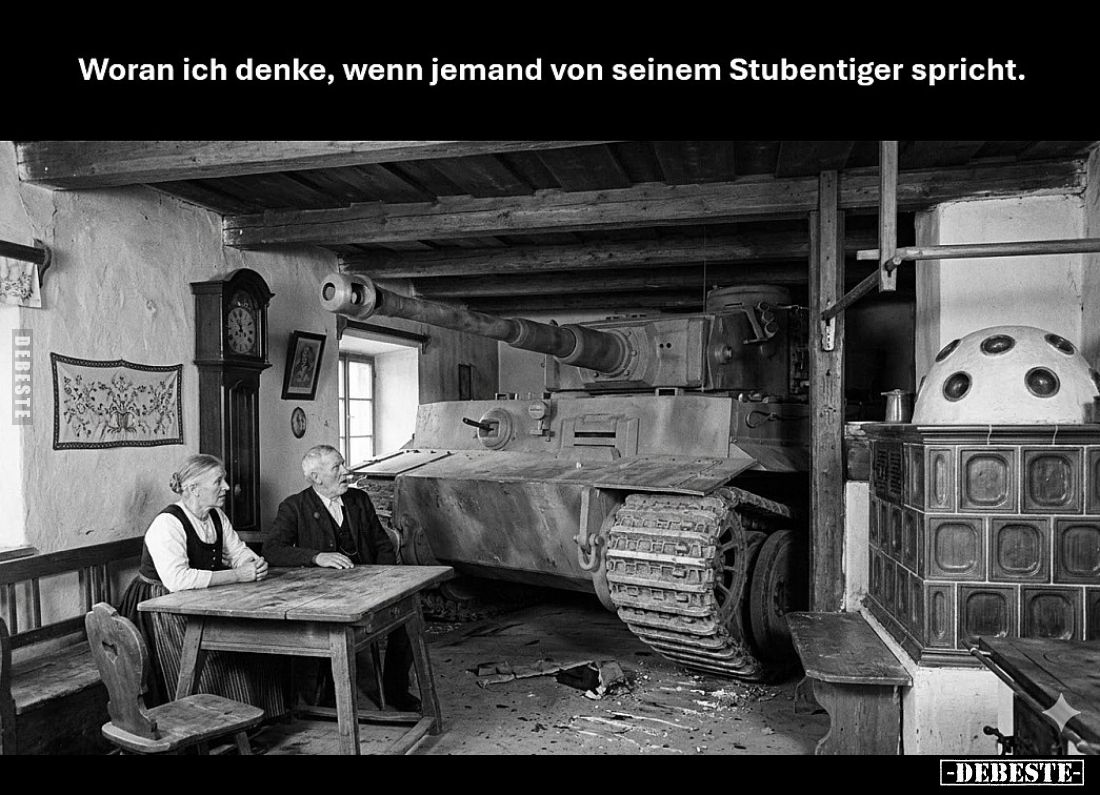 Woran ich denke, wenn jemand von seinem Stubentiger spricht.