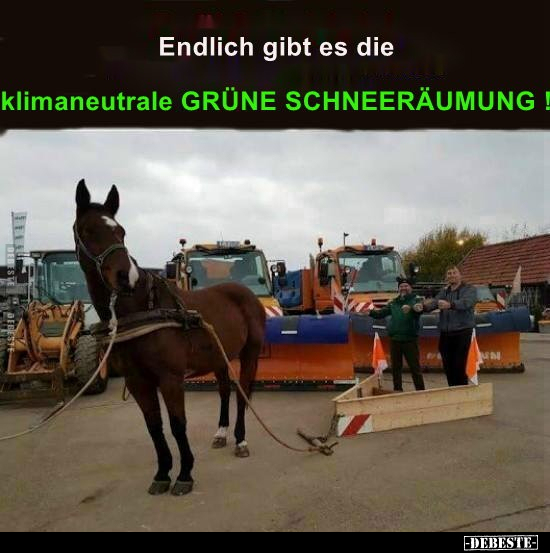 Endlich gibt es die klimaneutrale grüne Schneeräumung... - Lustige Bilder | DEBESTE.de