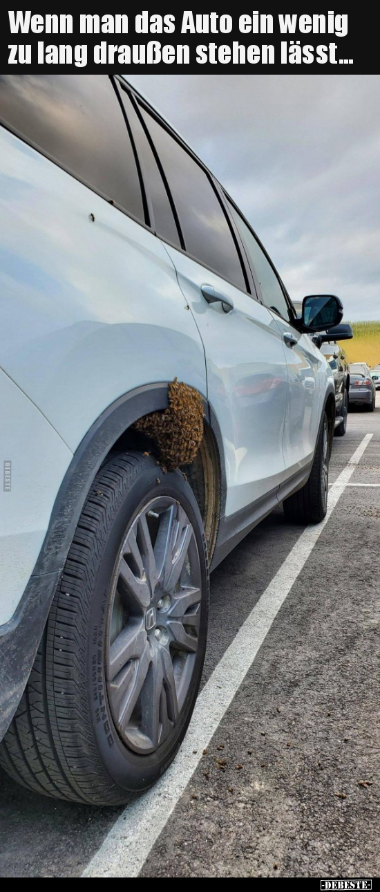 Wenn man das Auto ein wenig zu lang draußen stehen.. - Lustige Bilder | DEBESTE.de