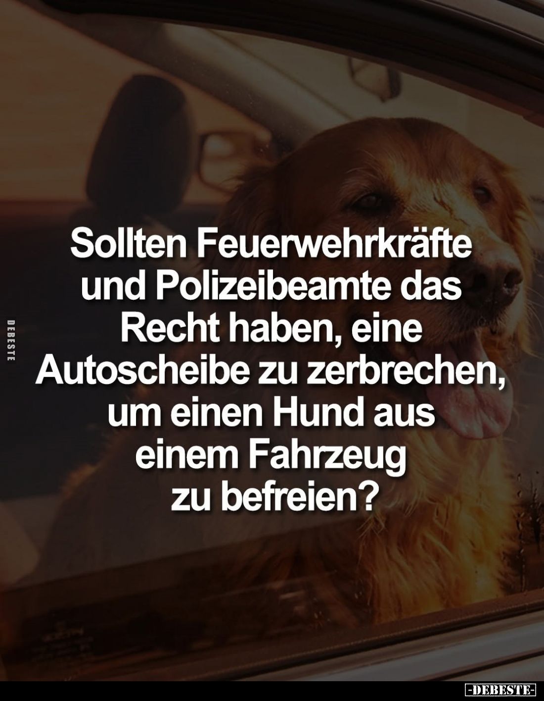 Sollten Feuerwehrkräfte und Polizeibeamte das Recht haben, eine Autoscheibe zu zerbrechen, um einen Hund aus einem Fahrzeug z...