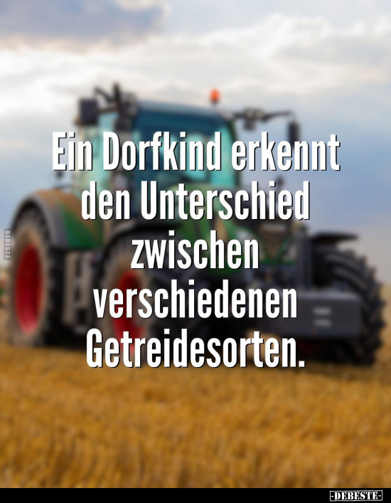 Ein Dorfkind erkennt den Unterschied.. - Lustige Bilder | DEBESTE.de