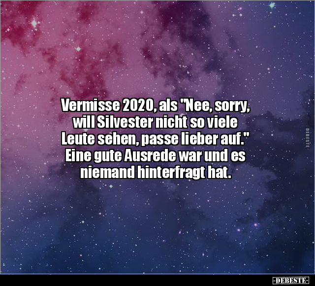 Vermisse 2020, als "Nee, sorry, will Silvester nicht so.." - Lustige Bilder | DEBESTE.de