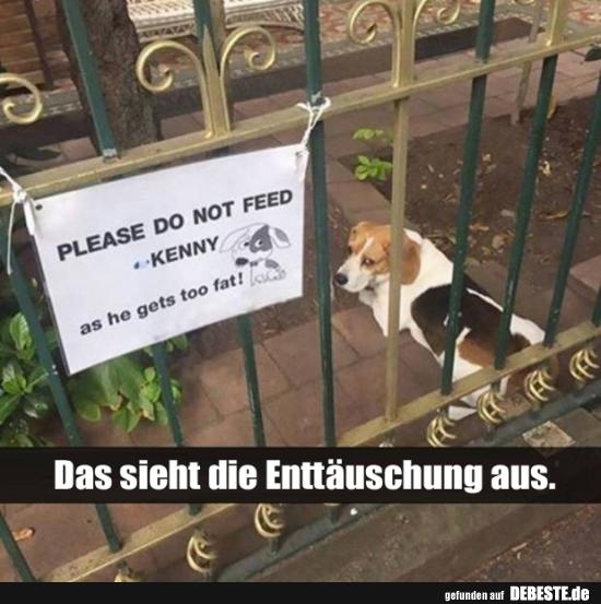 Das sieht die Enttäuschung aus.