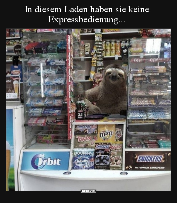 In diesem Laden haben sie keine Expressbedienung... - Lustige Bilder | DEBESTE.de